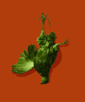 Thereby Hangs a Tale - Green/Red - Framed by Magnus Gjoen