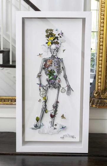 Ferdamannagrind - Still Skeleton by Kristjana S Williams