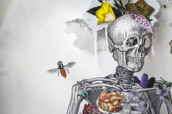 Ferdamannagrind - Still Skeleton by Kristjana S Williams