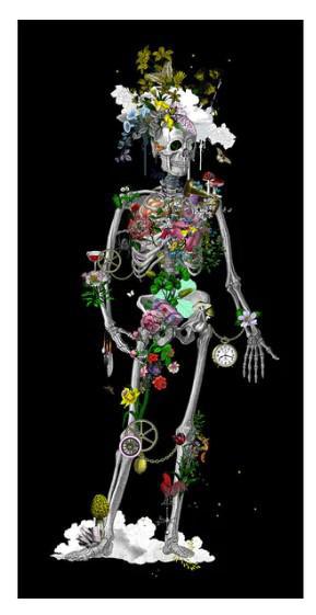 Ad Moldu Skaltu Verda - Still Skeleton Black - Framed by Kristjana S Williams