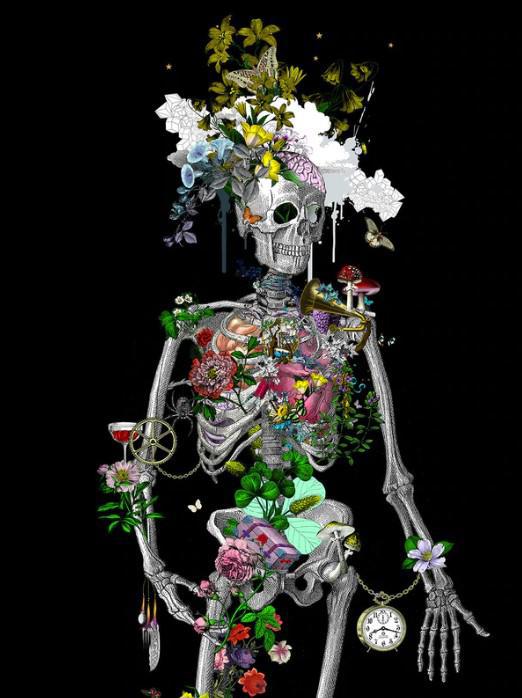 Ad Moldu Skaltu Verda - Still Skeleton Black - Framed by Kristjana S Williams