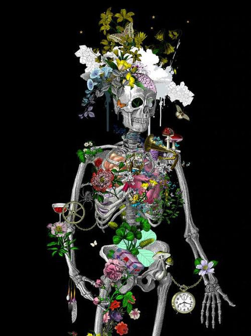 Ad Moldu Skaltu Verda - Still Skeleton Black - Framed by Kristjana S Williams