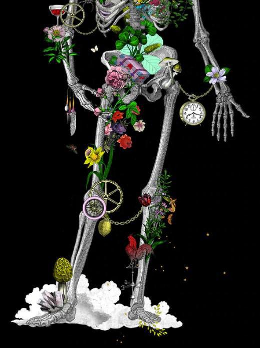 Ad Moldu Skaltu Verda - Still Skeleton Black - Framed by Kristjana S Williams