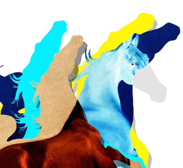 Heppi Hestur (Blue) - Framed by Kristjana S Williams