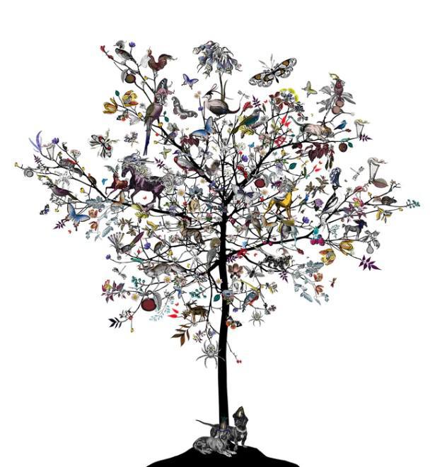 Trur & Tryggur - Aesop Tree - Framed by Kristjana S Williams