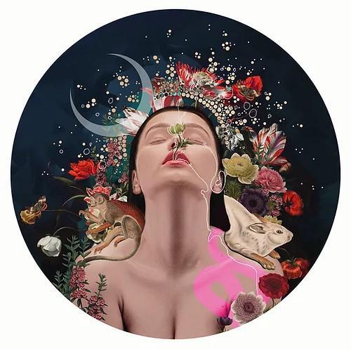 Howl at The Moon - Framed by Alexandra Gallagher