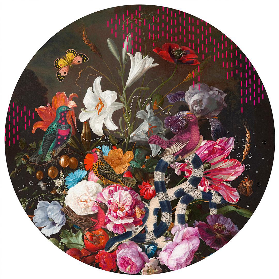Serendipity's Rainbow by Alexandra Gallagher