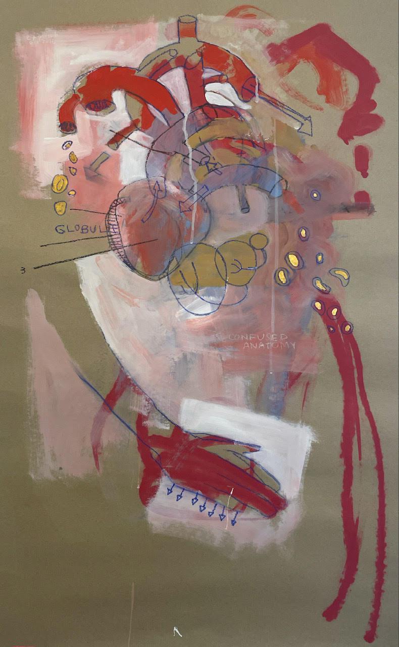 Confused Anatomy by Cecile Perret
