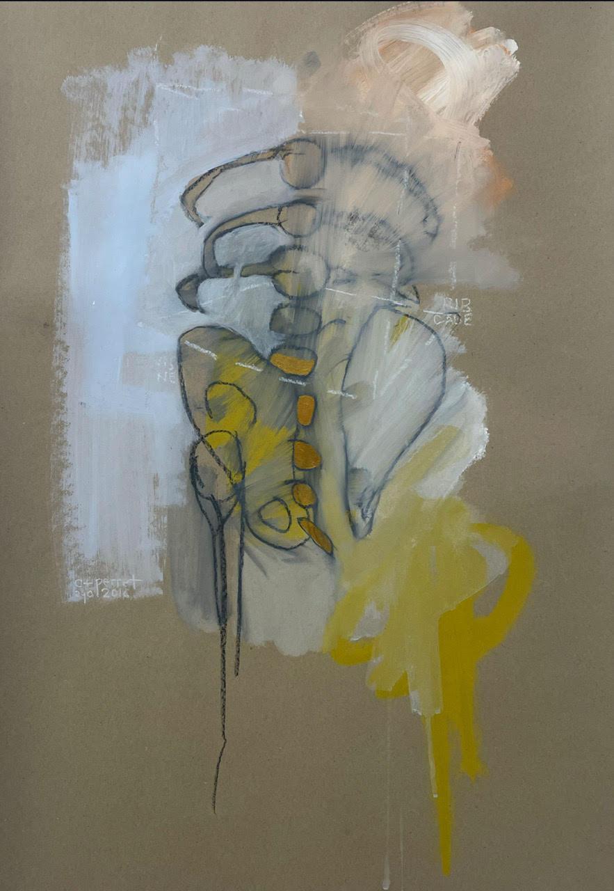 Rib Cage by Cecile Perret