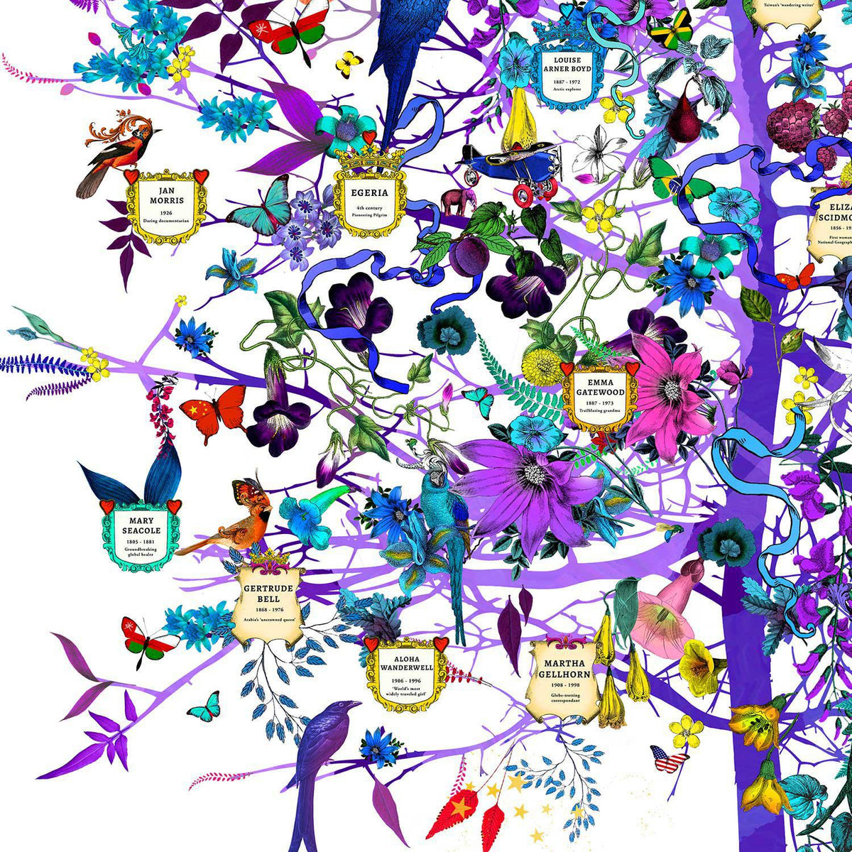 Tree of Exploration - Framed by Kristjana S Williams