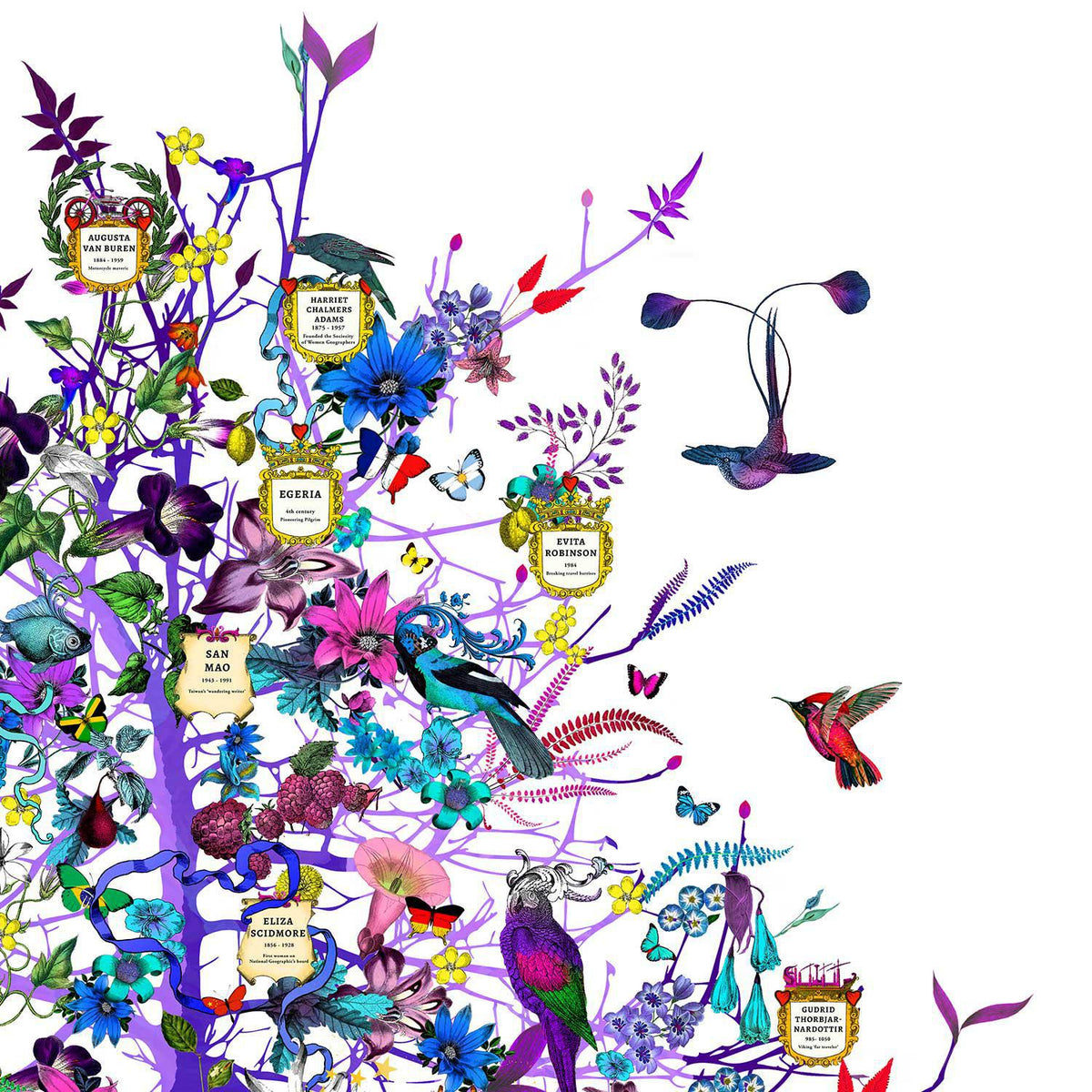 Tree of Exploration - Framed by Kristjana S Williams