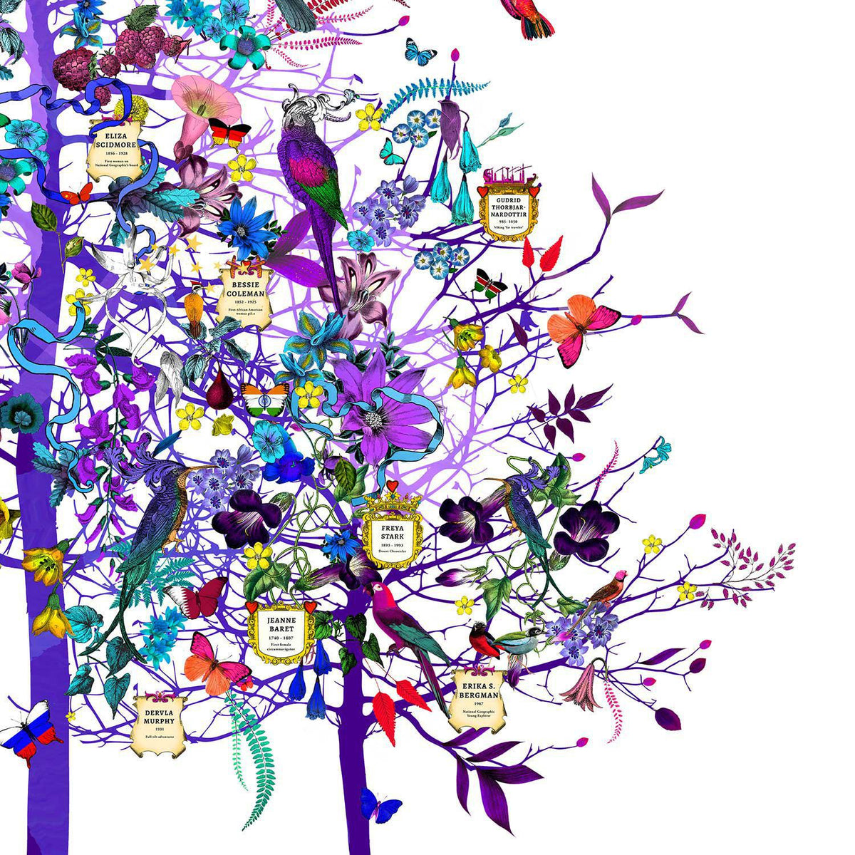 Tree of Exploration - Framed by Kristjana S Williams