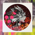 Lady Hawk - Framed by Olly Howe