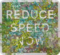Reduce Speed Now by Nessie Ramm