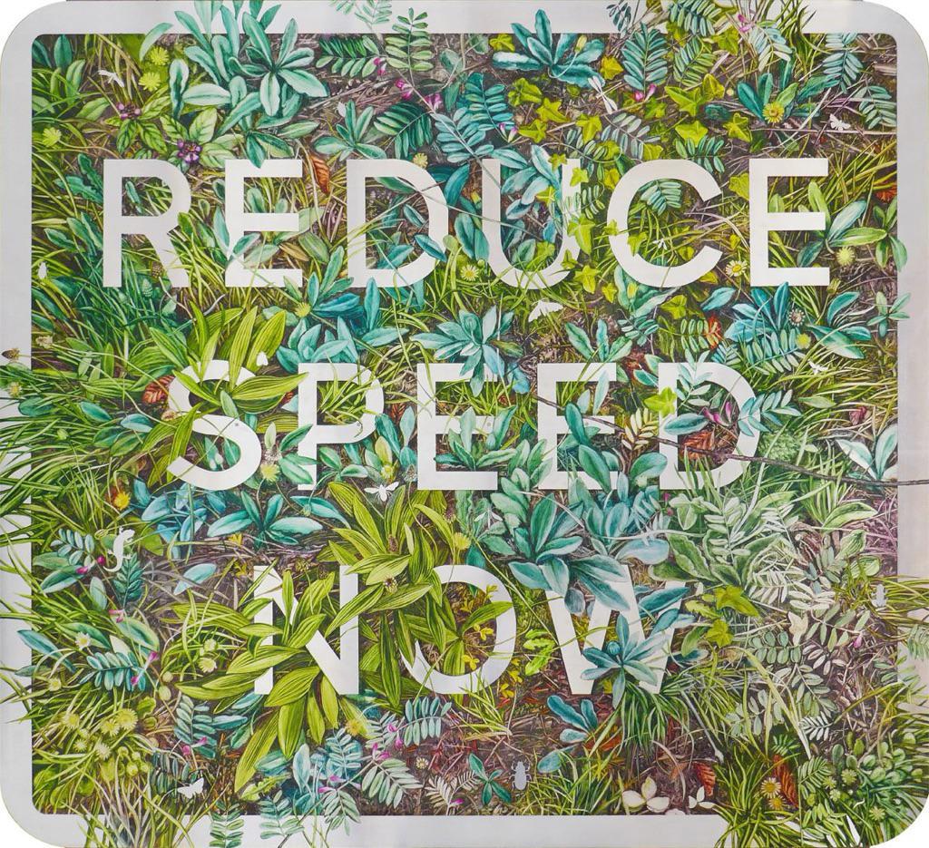 Reduce Speed Now by Nessie Ramm