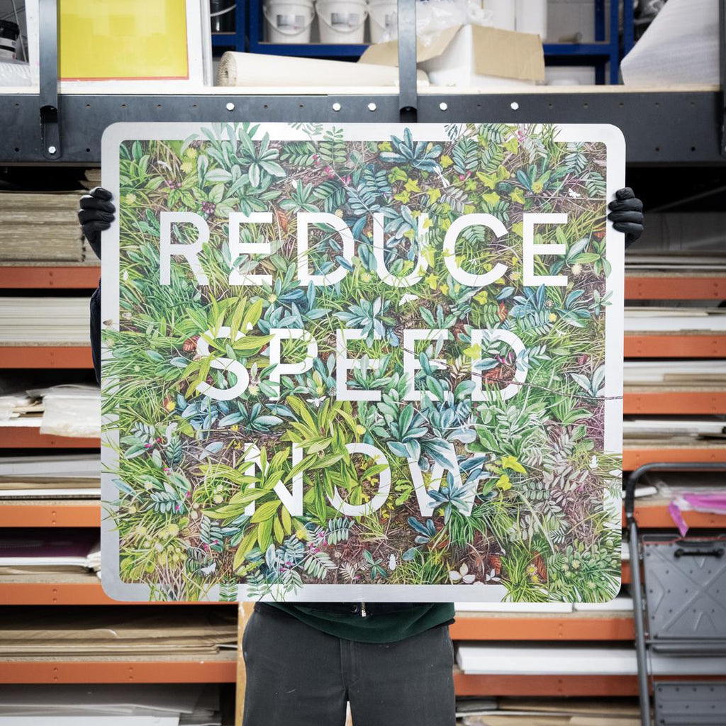 Reduce Speed Now by Nessie Ramm