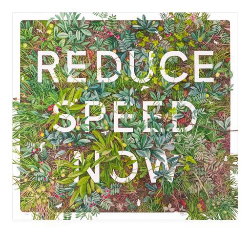 Reduce Speed Now - Framed by Nessie Ramm