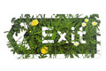 Exit - Framed by Nessie Ramm