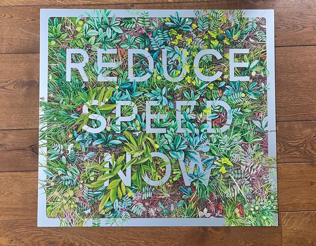 Reduce Speed Now by Nessie Ramm