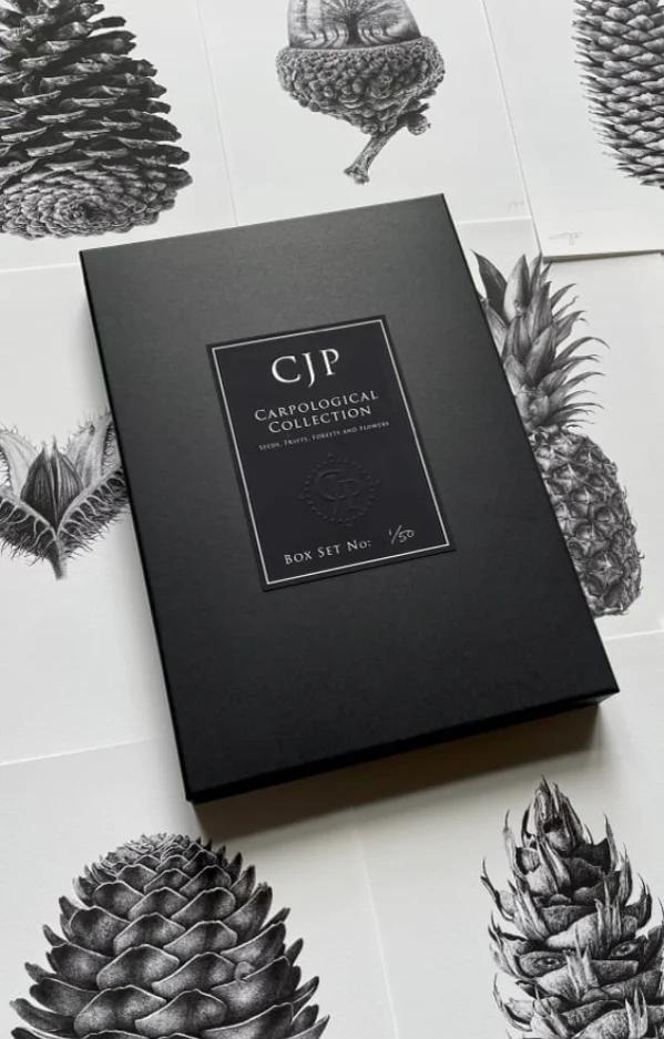 Carpological Collection Box Set - Framed by CJP