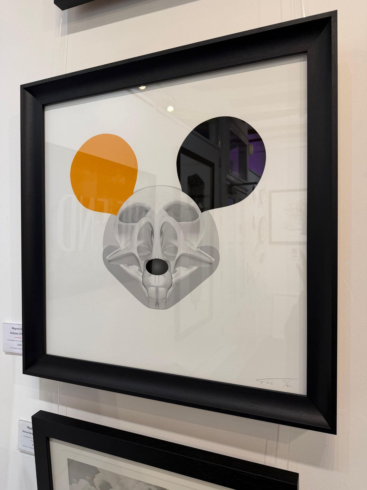 Autopsy of Mickey - Framed by Magnus Gjoen