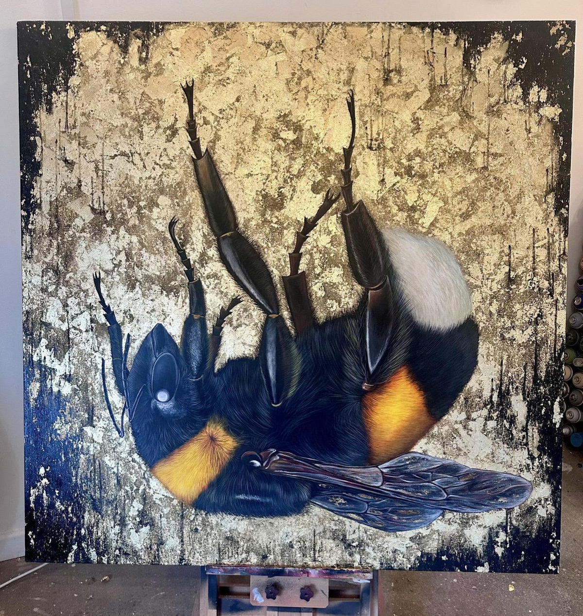 The Golden Veil by Louise McNaught