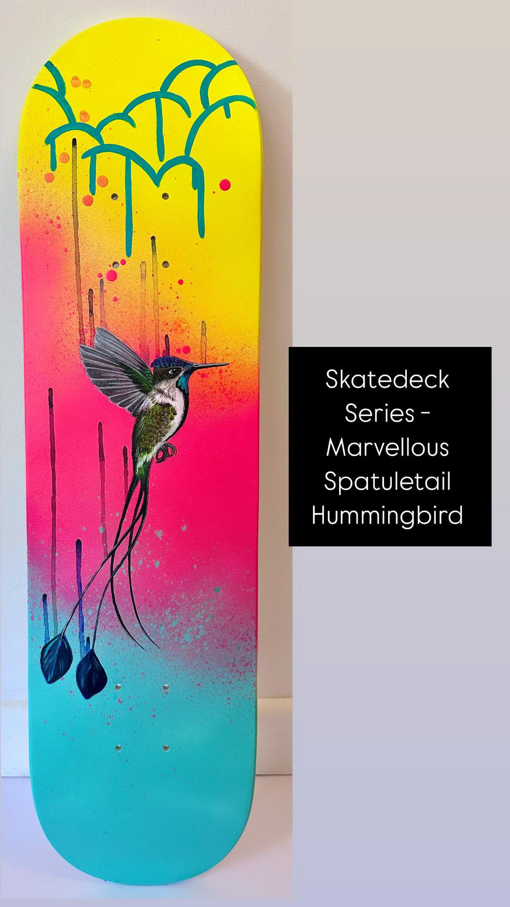 Skatedeck Series - Marvellous Spatuletail Hummingbird by Louise McNaught