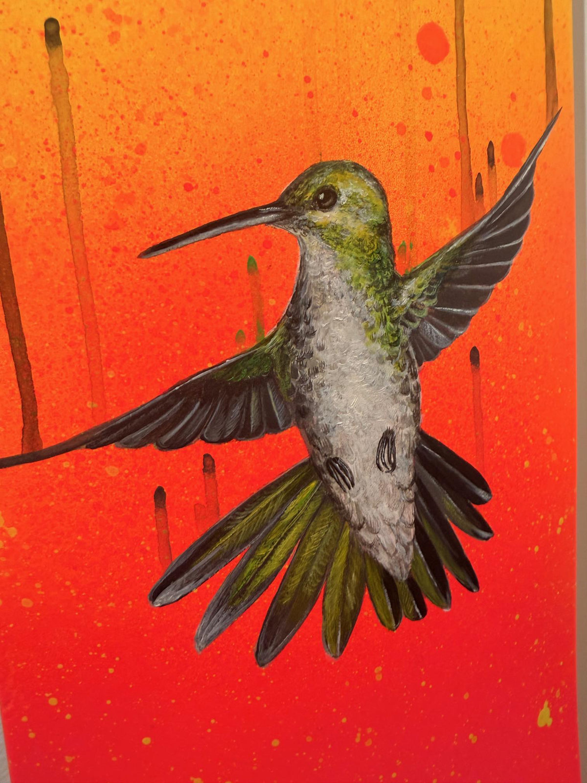 Skatedeck Series - Mangrove Hummingbird by Louise McNaught