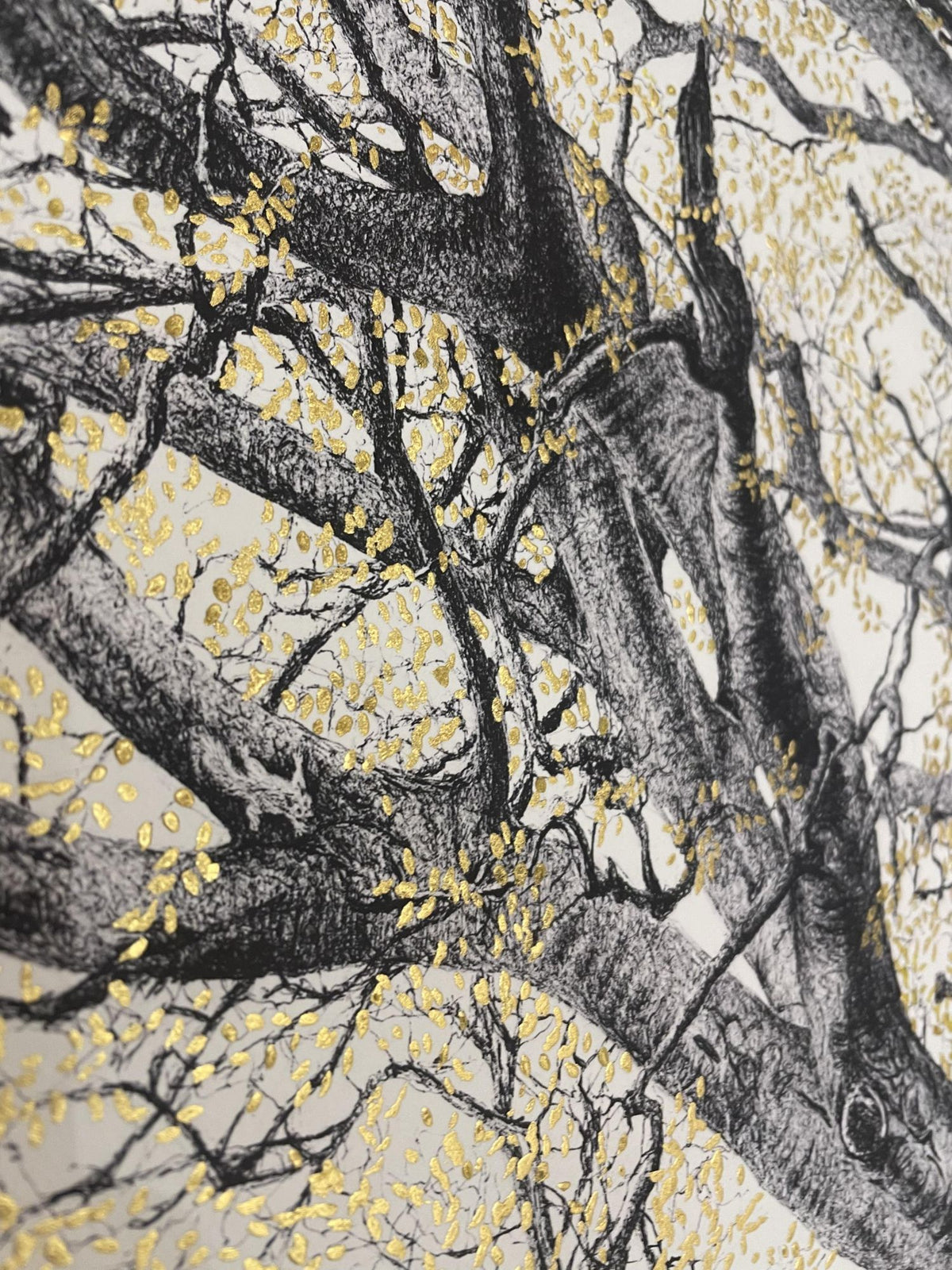 The King Beech (Medium) 22k SE - Framed by CJP
