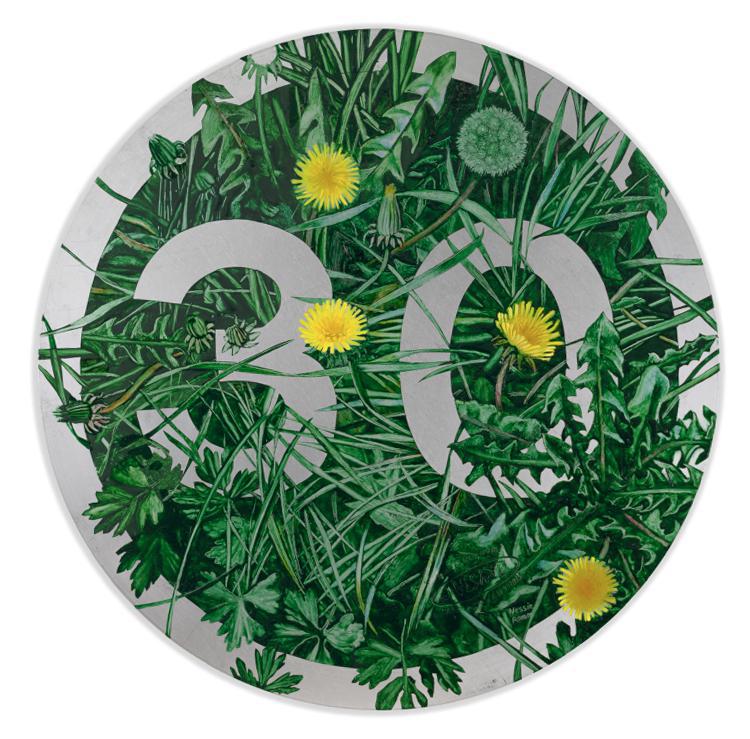 30mph by Nessie Ramm