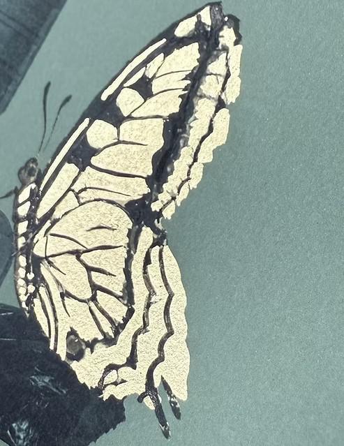 The Things We Leave Behind - Framed by Magnus Gjoen