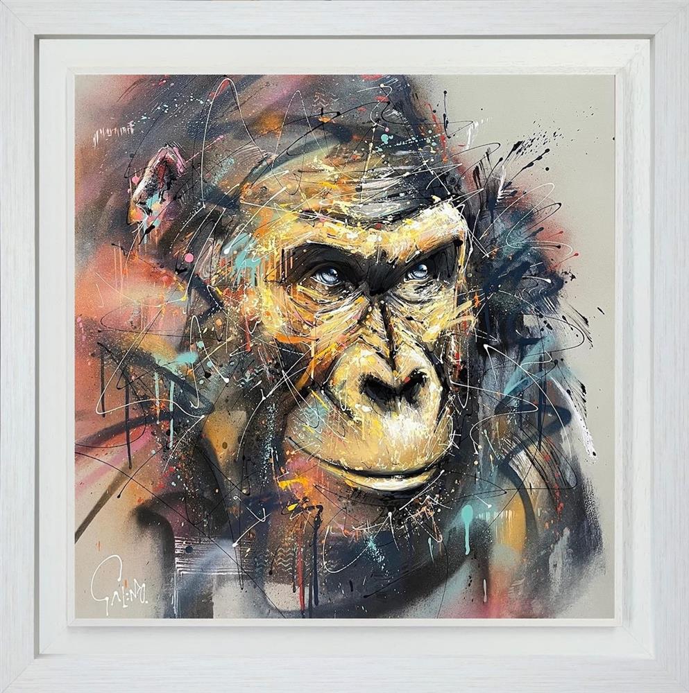 Koko - Framed by Joe Galindo