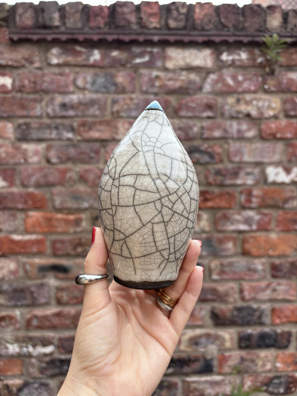Medium Penguin 5 by Art of Protest Gallery