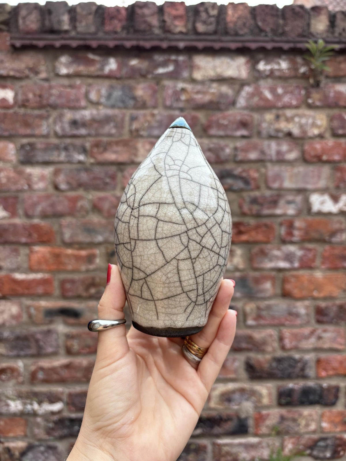 Medium Penguin 5 by Art of Protest Gallery