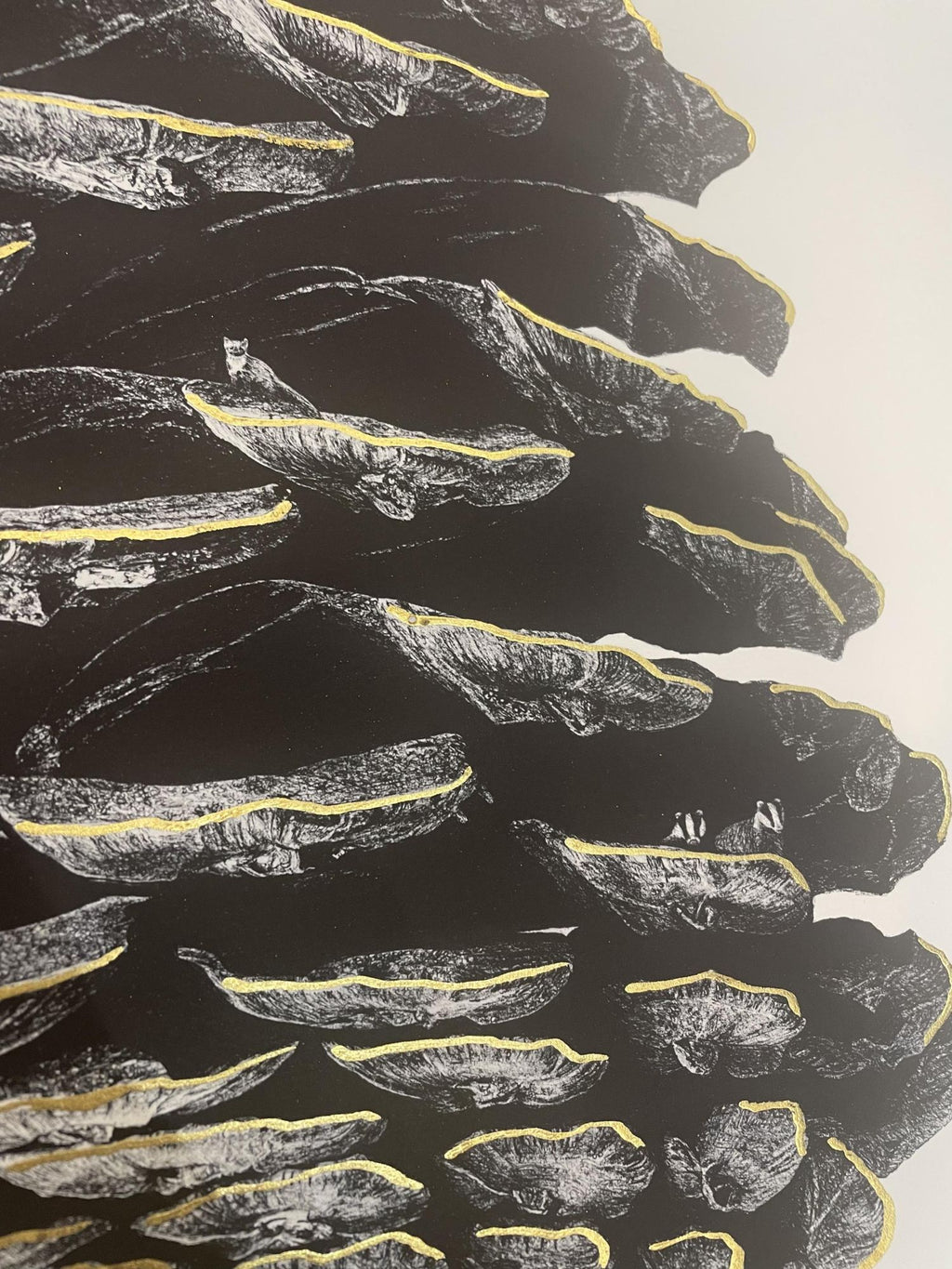 Rewild Rose Gold SE- Framed by CJP