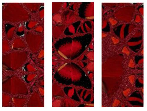 H10-2 Nūr Jahān by Damien Hirst