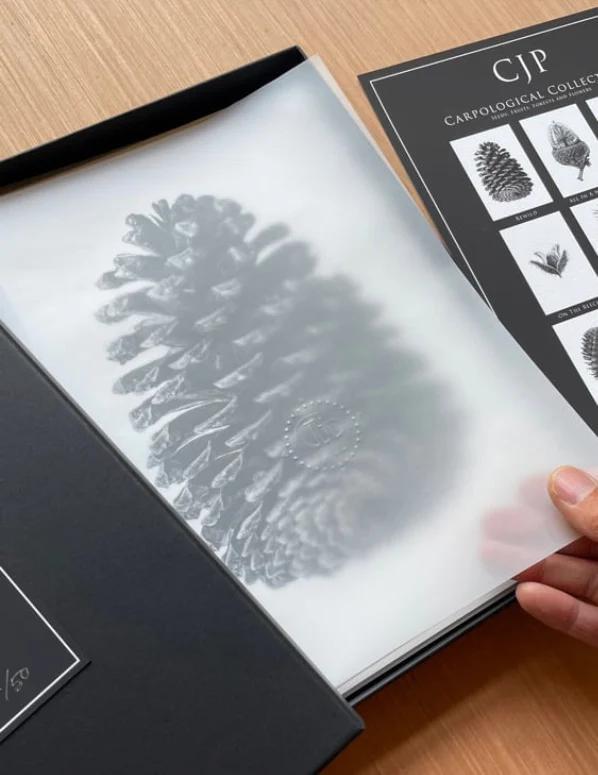 Carpological Collection Box Set by CJP