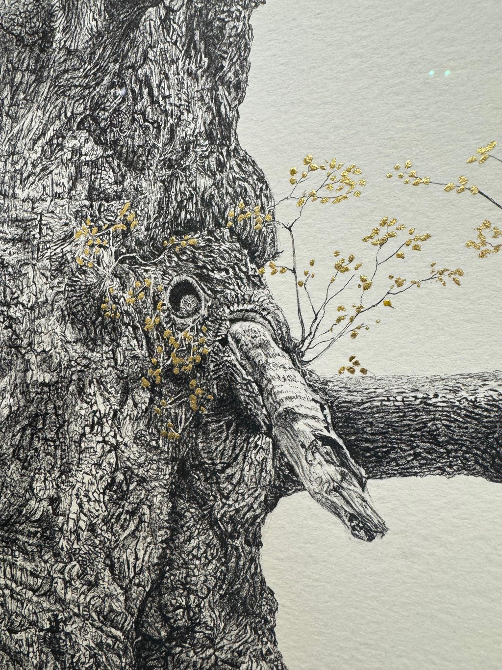 The Majesty Oak 24k