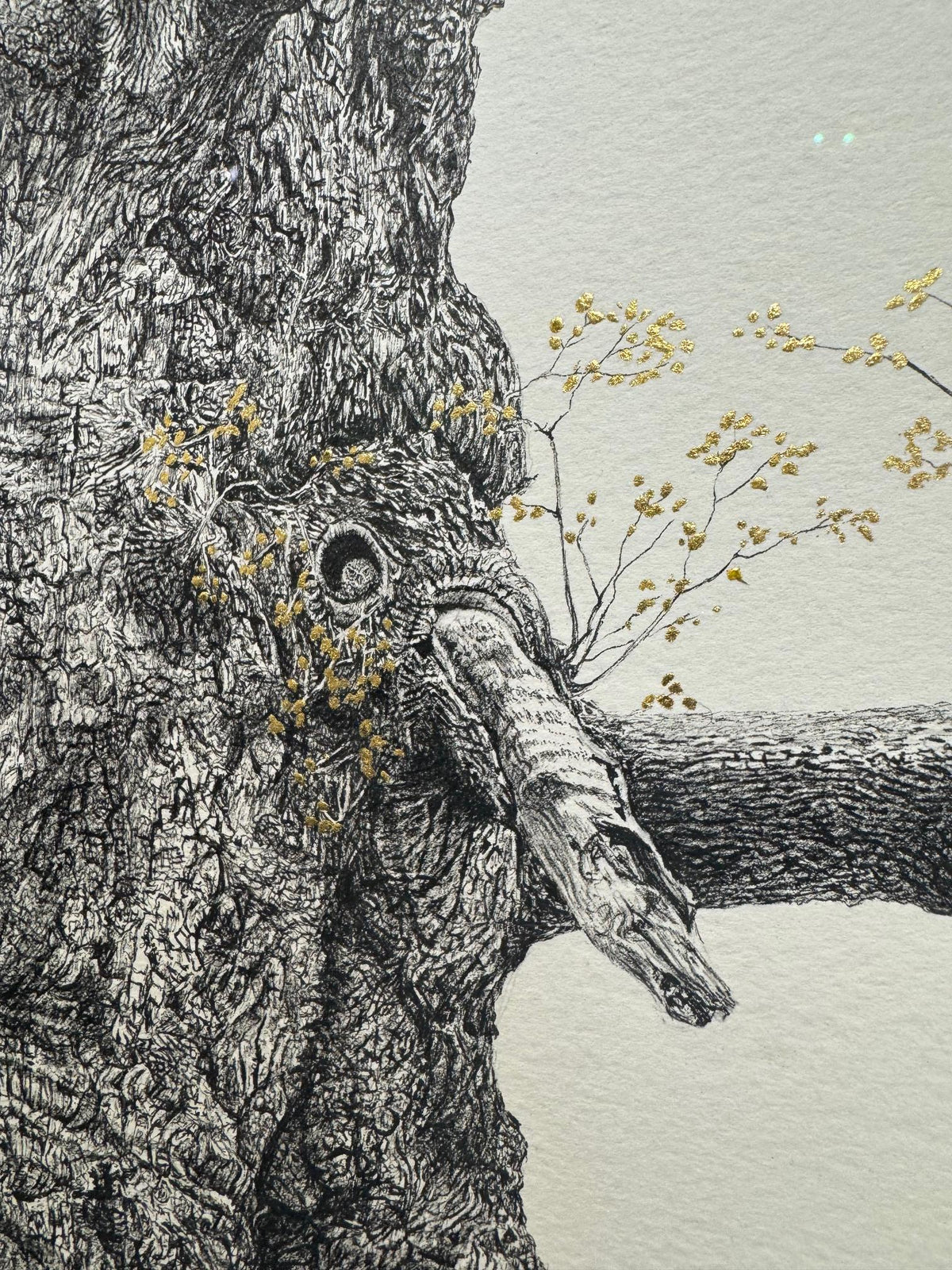The Majesty Oak 24k