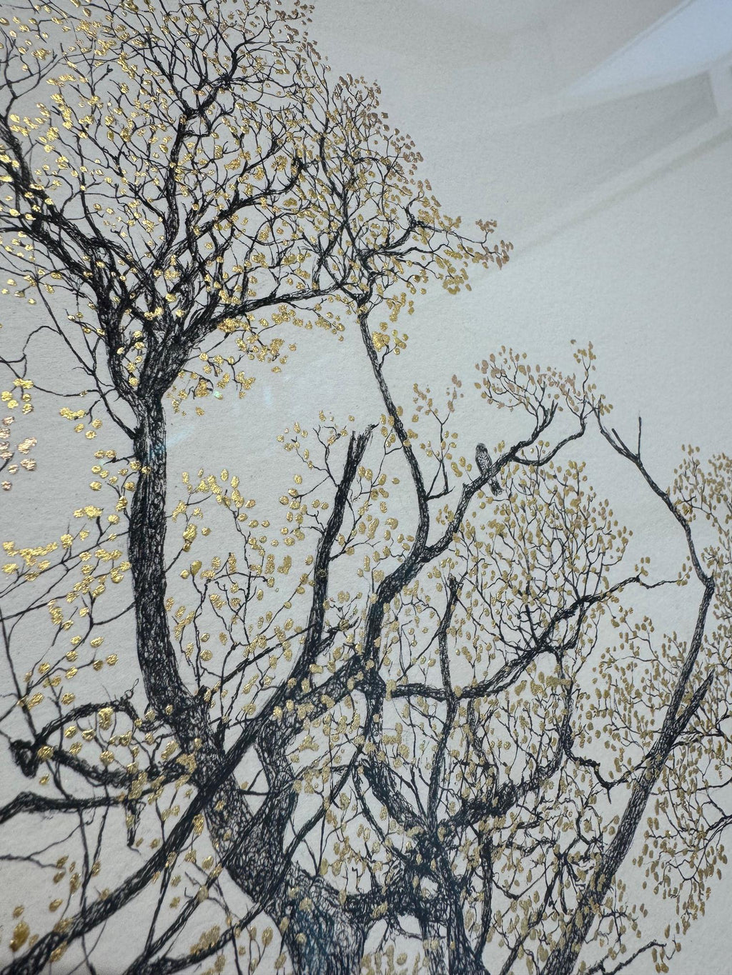 The Majesty Oak 24k
