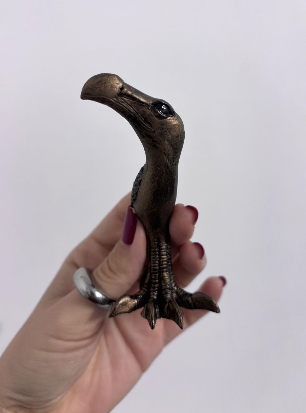 Mini Bird Curved Beak