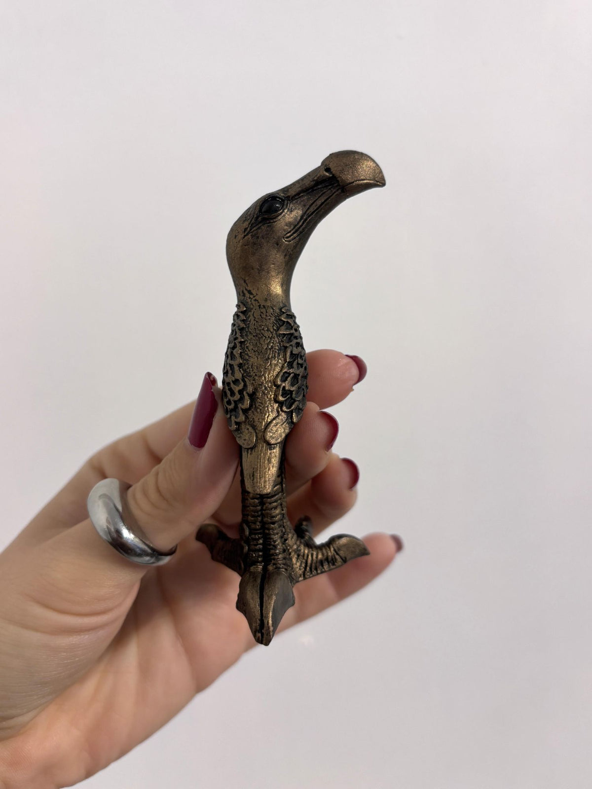Mini Bird Curved Beak