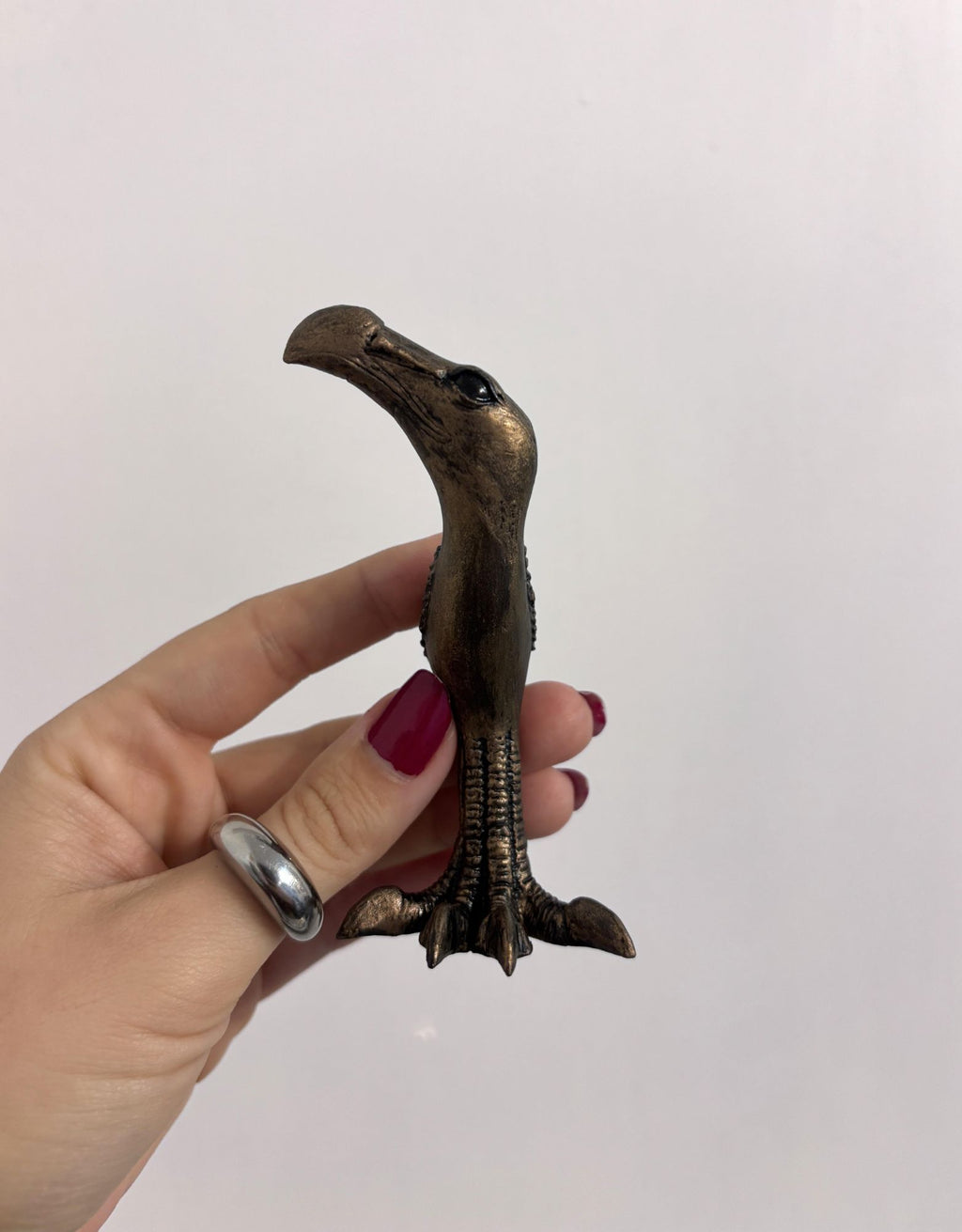 Mini Bird Curved Beak